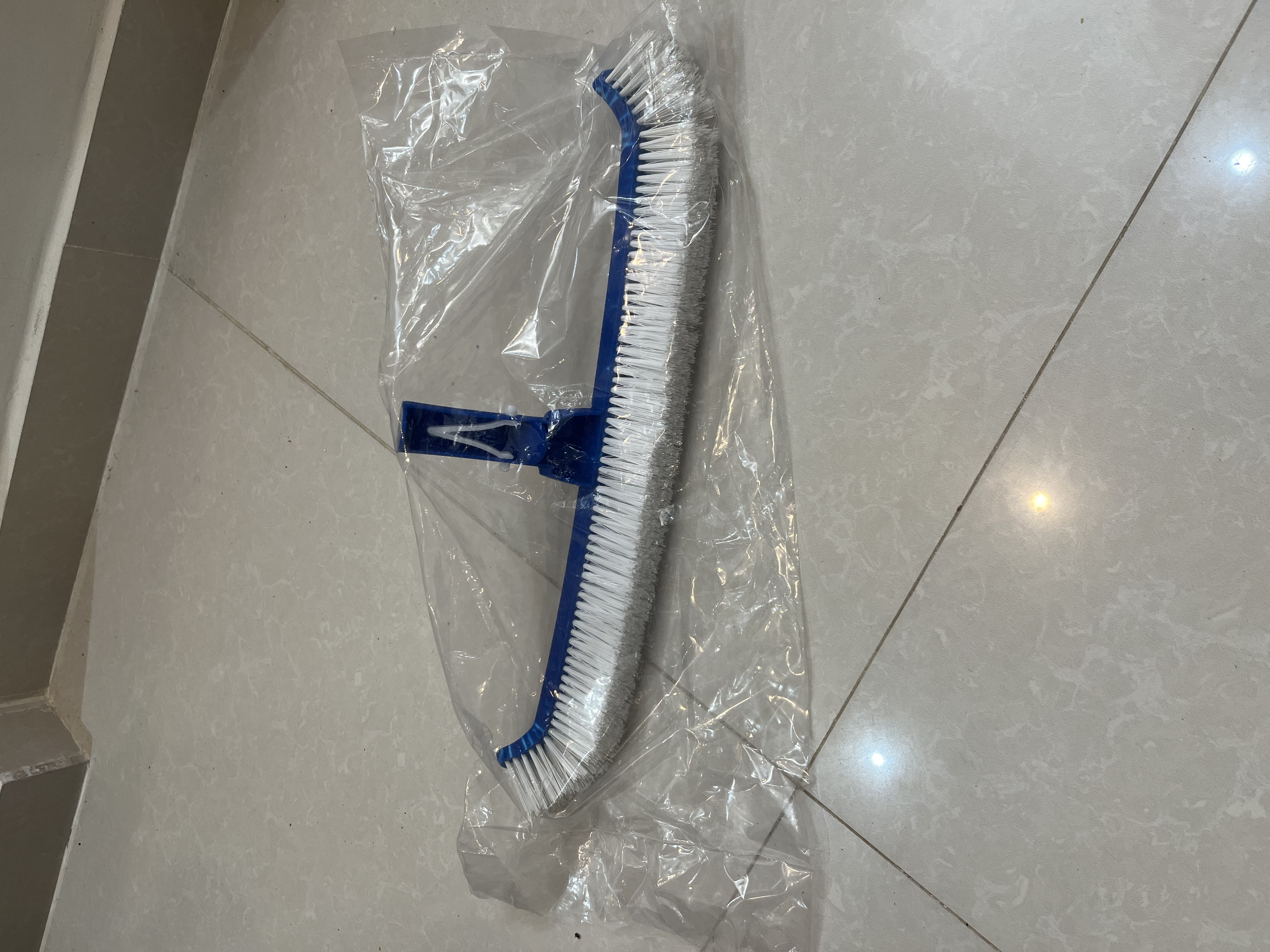 فرچه استخری